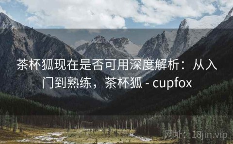 茶杯狐现在是否可用深度解析：从入门到熟练，茶杯狐 - cupfox