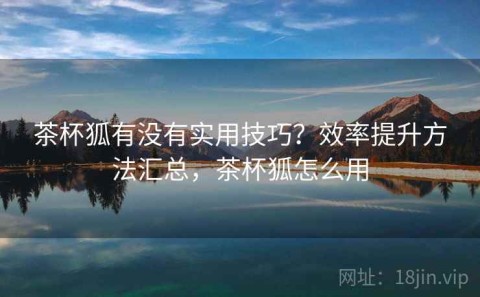 茶杯狐有没有实用技巧？效率提升方法汇总，茶杯狐怎么用