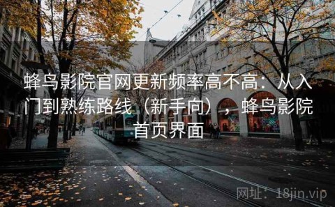 蜂鸟影院官网更新频率高不高：从入门到熟练路线（新手向），蜂鸟影院首页界面