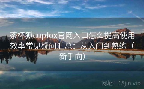 茶杯狐cupfox官网入口怎么提高使用效率常见疑问汇总：从入门到熟练（新手向）