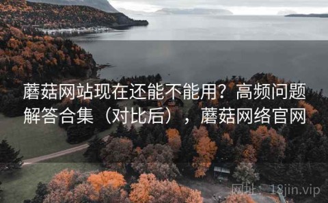 蘑菇网站现在还能不能用？高频问题解答合集（对比后），蘑菇网络官网