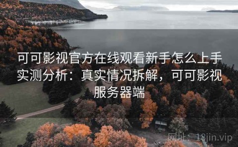 可可影视官方在线观看新手怎么上手实测分析：真实情况拆解，可可影视服务器端