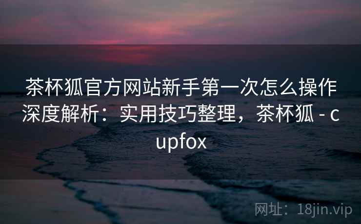 茶杯狐官方网站新手第一次怎么操作深度解析：实用技巧整理，茶杯狐 - cupfox