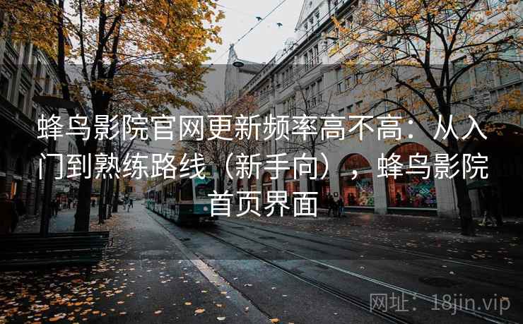 蜂鸟影院官网更新频率高不高：从入门到熟练路线（新手向），蜂鸟影院首页界面