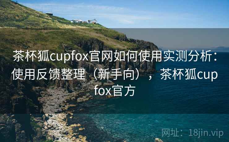 茶杯狐cupfox官网如何使用实测分析：使用反馈整理（新手向），茶杯狐cupfox官方